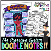 The Digestive System Doodle Notes | Science Doodle Notes