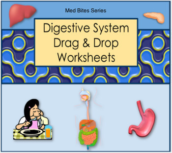Preview of Digestive System - Drag & Drop Worksheets (Med Bites Series)