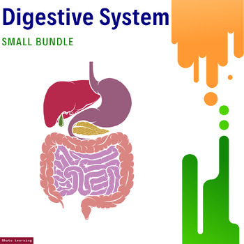 Preview of Digestive System Essentials Bundle: Explore the Pathways of Digestion