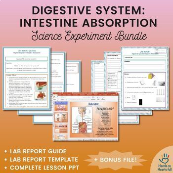 Preview of Digestive System Experiment BUNDLE: Lesson PPT + Lab Report Guide + Template