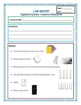 Digestive System Experiment- Lab Report Template by Hands On Hearts Full