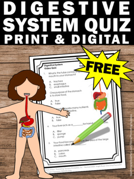 FREE Digestive System Activity & Video, Human Body Systems Worksheet Quiz