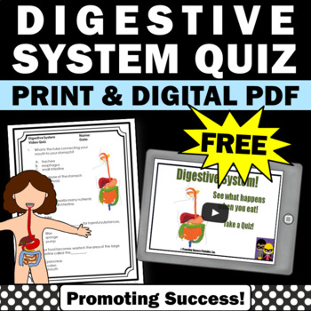 Preview of FREE Digestive System The Human Body Activities 5th Grade Science Vocabulary