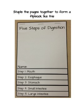 Preview of Digestive System - Five Steps of Digestion Flip book