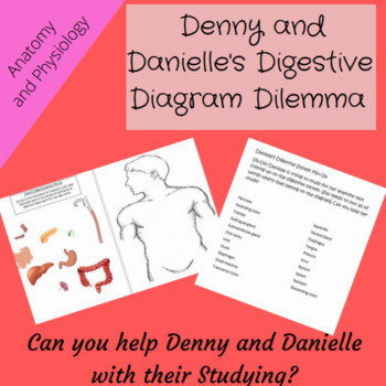 Preview of Anatomy: Digestive System Hands-on Diagram with Cut-Outs and Vocabulary Labeling