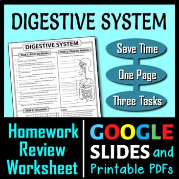 Preview of Digestive System Homework Review Worksheet / Test Prep | Print & Google Slides