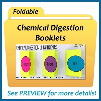 Digestion: Anatomy, physiology, and chemistry