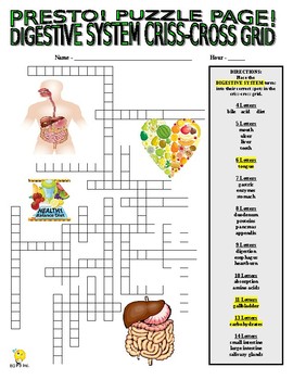 Preview of Digestive System (Human Body Puzzle Pages - wordsearch / criss-cross / health)