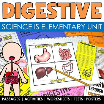 Preview of Digestive System Human Body Systems Project Worksheets Human Body Activities