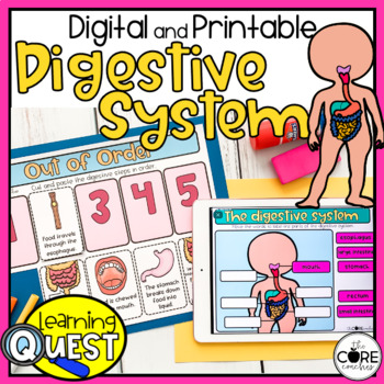 Preview of Digestive System Independent Work - Human Body Print & Digital Activities