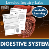 Digestive System Inquiry Labs