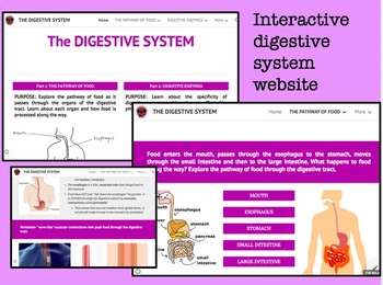 Preview of Distance Learning Digestive System Web quest- Part 1: The pathway of food