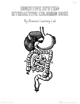 Preview of Digestive System Interactive Coloring Book