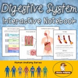 Digestive System Interactive Notebook