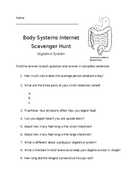 Preview of Digestive System Internet Scavenger Hunt