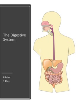 Preview of Digestive System Labs plus a play