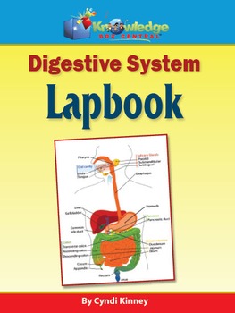 Preview of Digestive System Lapbook / Interactive Notebook