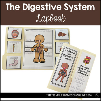 Preview of Digestive System Lapbook Human Body Digestive System Activity