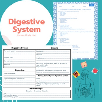 Preview of Digestive System Large Bundle