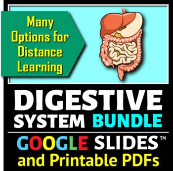 Preview of Digestive System BUNDLE | Editable, Printable & Distance Learning Options