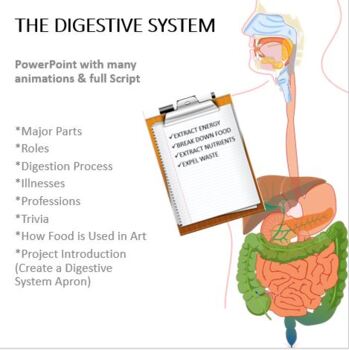 Digestive System Lesson- PowerPoint with Animation & Script | TPT