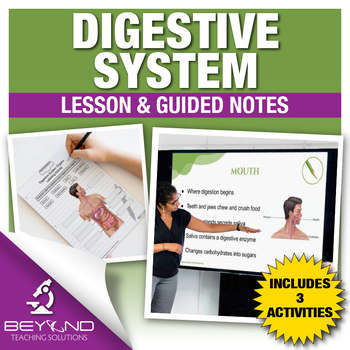 Preview of Digestive System Lesson and Worksheets - Biology Curriculum