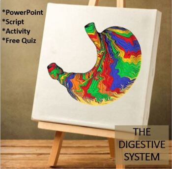 Preview of Digestive System Lesson w/ Activity & Bonus Quiz- Animated PowerPoint w/ Script