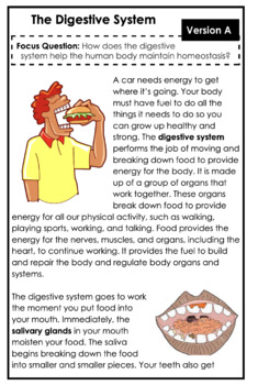 Preview of Digestive System Leveled Text Set Booklets