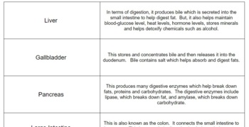 Preview of Digestive System Matching Cards