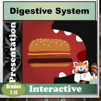 Preview of Digestive System Notes