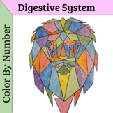 Digestive System PDF Color By Number
