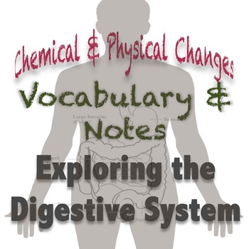 Preview of Digestive System PowerPoint: Notes & Vocabulary {Chemical & Physical Changes}