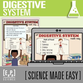 Preview of Digestive System PowerPoint and Notes