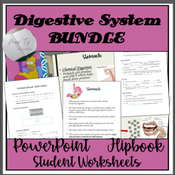 Preview of Digestive System PowerPoint and Activity Bundle