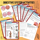 Digestive System Practical Activties