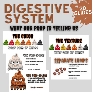 Preview of Digestive System Presentation || What Your Poop Color & Texture Means