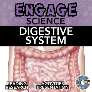 Preview of Digestive System Resources - Reading, Printable Activities, Notes & Slides