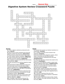 Digestive System Review Crossword Puzzle by Brighteyed for Science