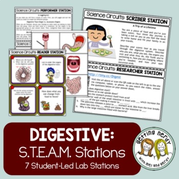 Preview of Digestive System - Science Centers / Lab Stations