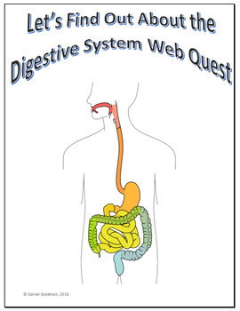 Preview of Digestive System Science Webquest for Google Apps - Internet Activity