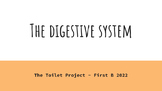 Digestive System Slides | Elementary | Kinder to Grade 4 |