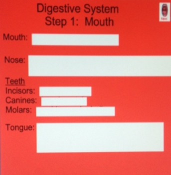 Preview of Digestive System Smart Board Lessson WITH Smart Response at the end