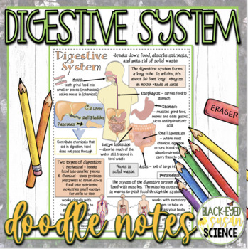 Preview of Digestive System Doodle Notes & Quiz