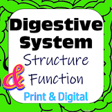 Digestive System Structure Function Card Sort Print & Digi