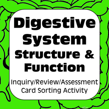 Preview of Digestive System Structure Function Card Sort for High School & AP Biology