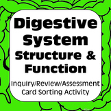 Digestive System Structure Function Card Sort for High Sch