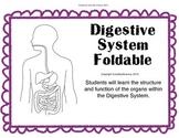 Digestive System Structure and Function Foldable