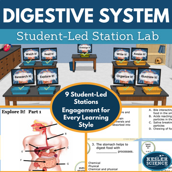 Preview of Digestive System Student-Led Station Lab