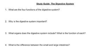 Preview of Digestive System Study Guide