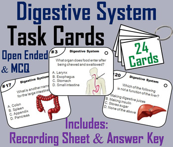 Preview of Digestive System Task Cards (Human Body Systems Activity: Anatomy & Physiology)